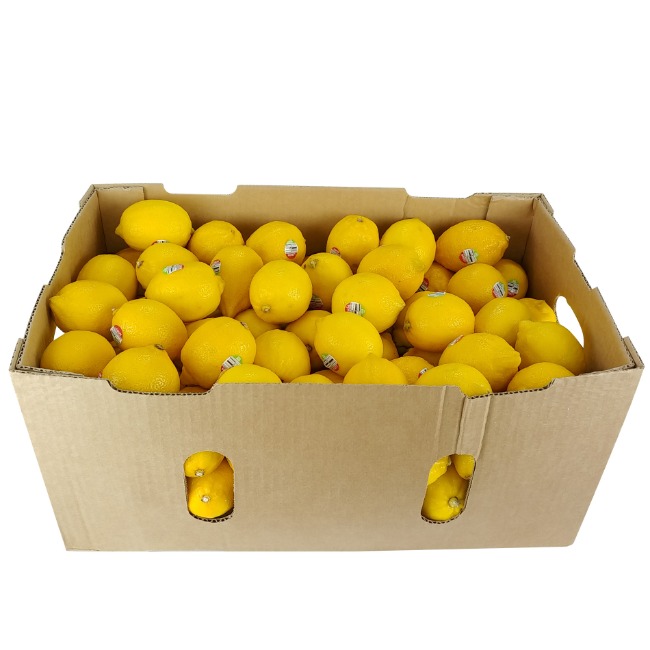 레몬1박스-약140개(개당522원, 약14kg)